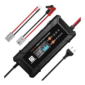 ECO-WORTHY 20 A 12/24 V